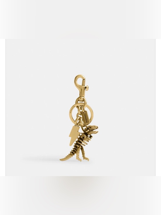 Coach Accessories - Coach REXY *NWOT* Skeleton Bag Charm in Brass